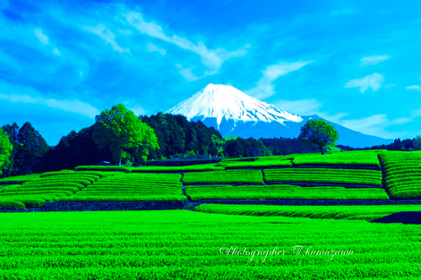 20140503-obuchi08052